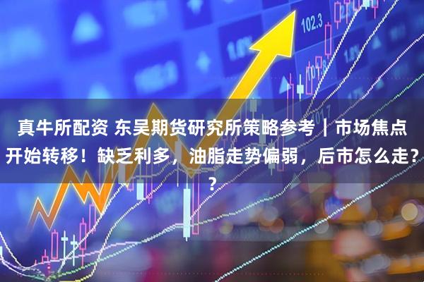 真牛所配资 东吴期货研究所策略参考｜市场焦点开始转移！缺乏利多，油脂走势偏弱，后市怎么走？