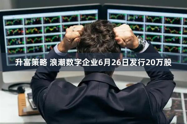 升富策略 浪潮数字企业6月26日发行20万股