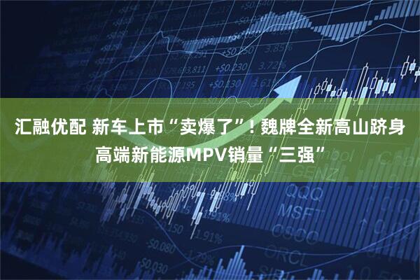 汇融优配 新车上市“卖爆了”! 魏牌全新高山跻身高端新能源MPV销量“三强”