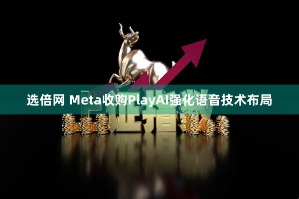 选倍网 Meta收购PlayAI强化语音技术布局