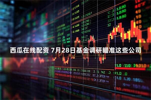西瓜在线配资 7月28日基金调研瞄准这些公司