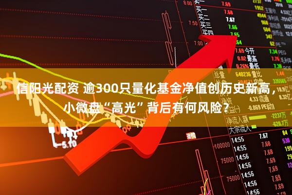 信阳光配资 逾300只量化基金净值创历史新高，小微盘“高光”背后有何风险？