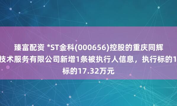 臻富配资 *ST金科(000656)控股的重庆同辉润泽信息技术服务有限公司新增1条被执行人信息，执行标的17.32万元