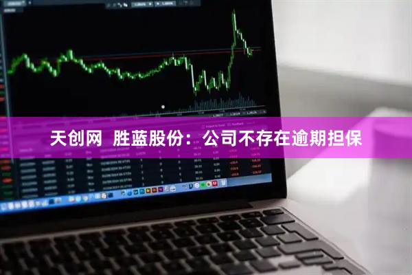 天创网  胜蓝股份：公司不存在逾期担保