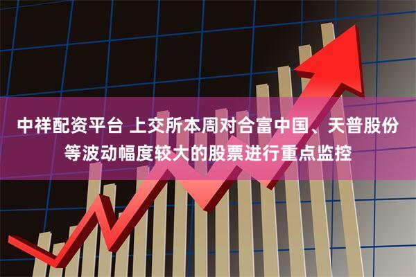 中祥配资平台 上交所本周对合富中国、天普股份等波动幅度较大的股票进行重点监控